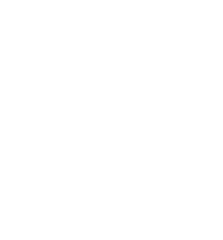 patriots division logo